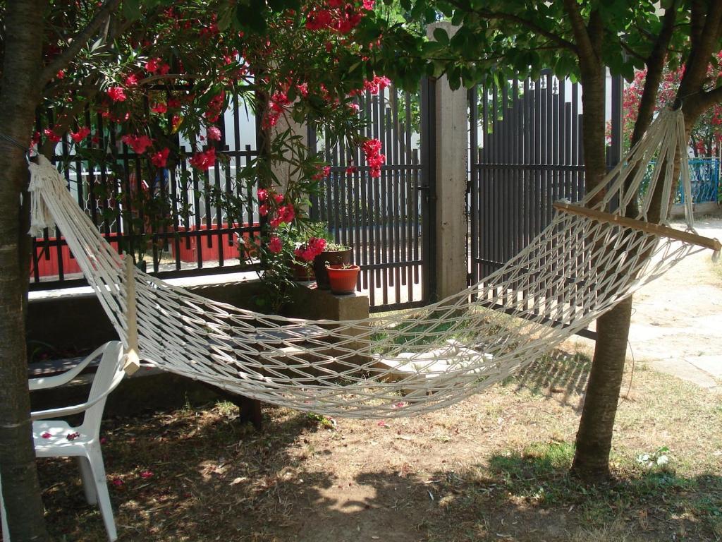 Apartments Aleksic سوتوموري المظهر الخارجي الصورة